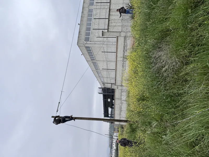 CZR Fiber Galeri